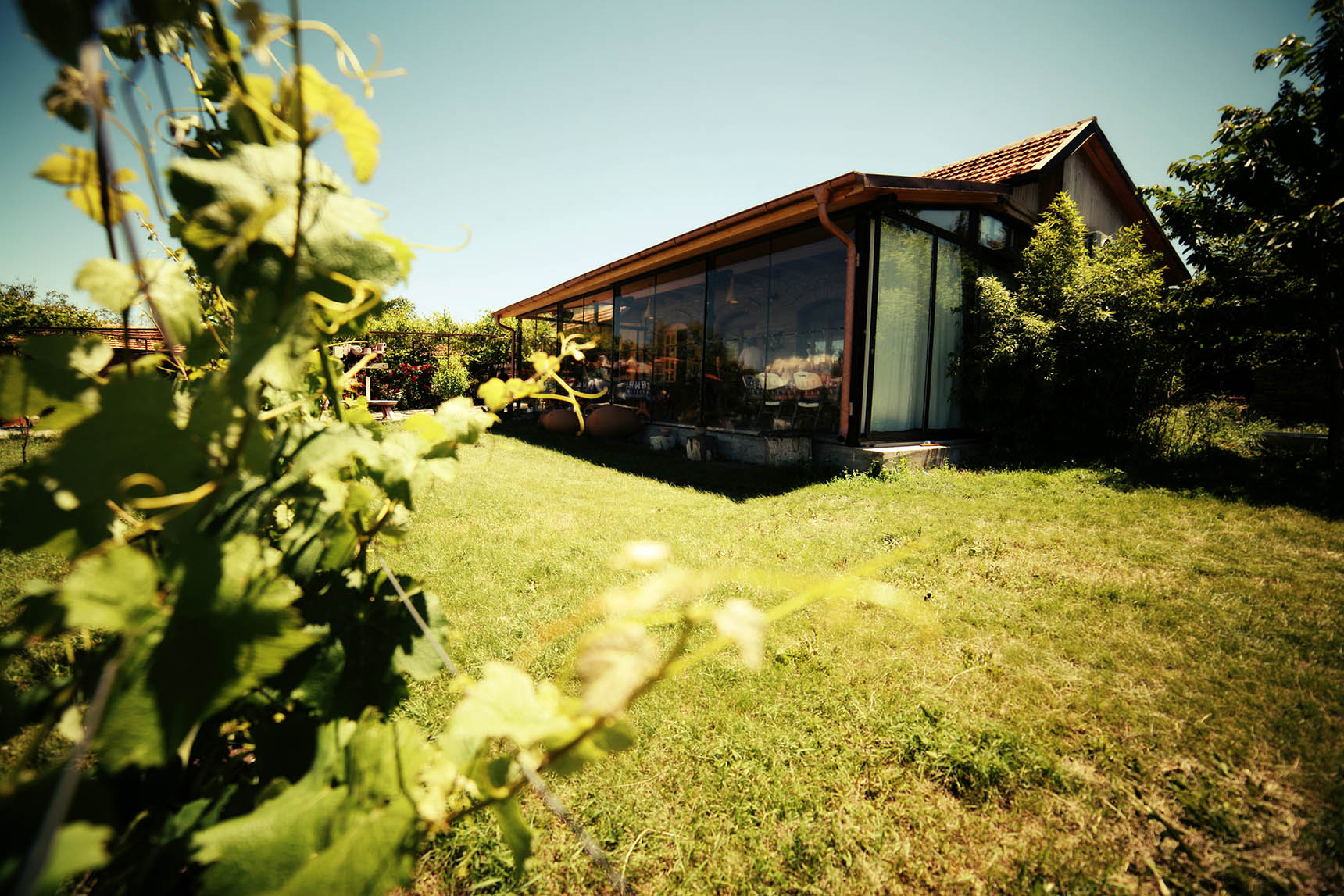 Iago's Winery